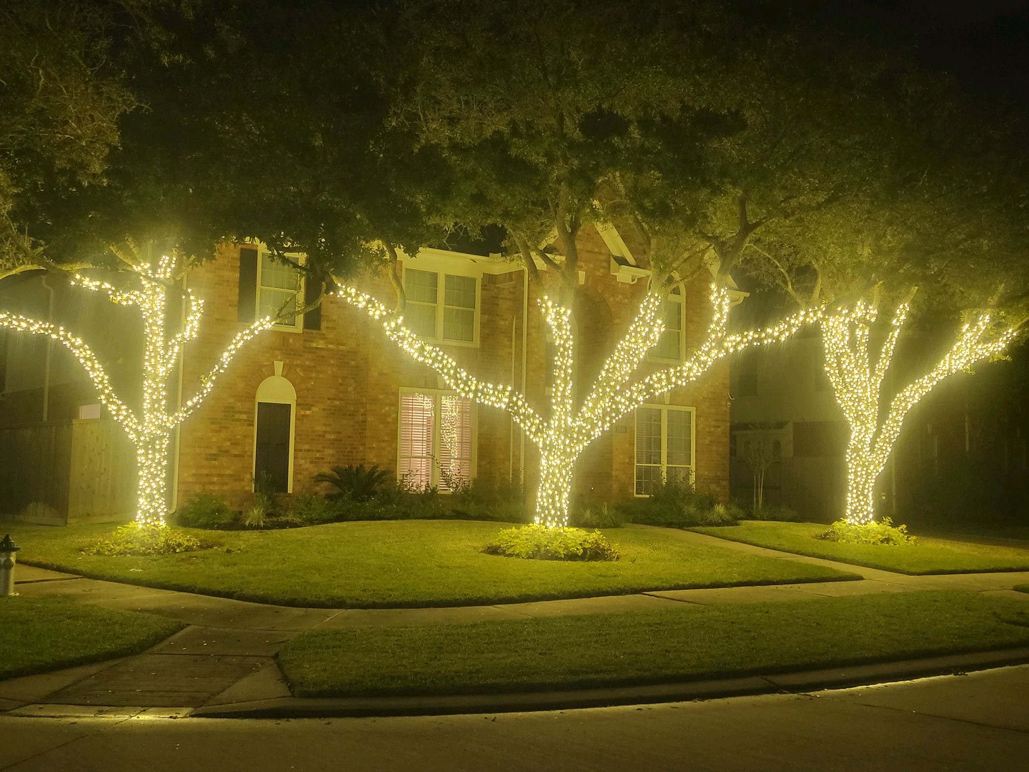 Permanent Outdoor Lighting Olmos Park TX installation 3